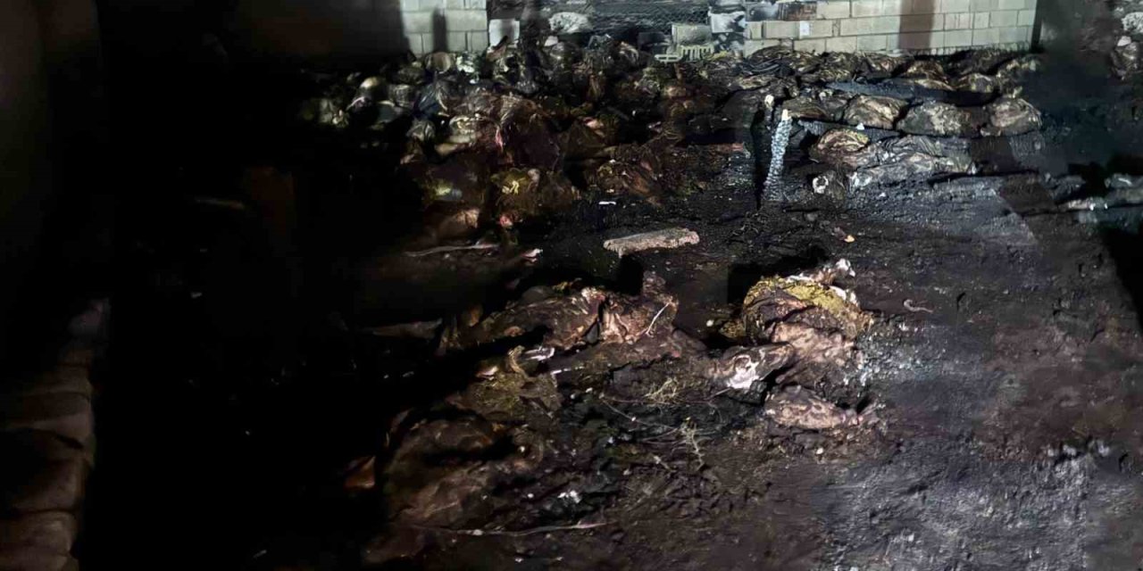 Niğde’de Ahır Yangını: 170 Koyun Telef Oldu