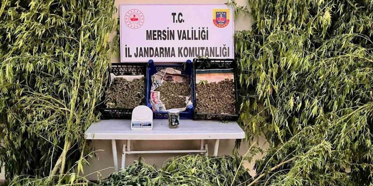 Mersin’de Uyuşturucu Operasyonu