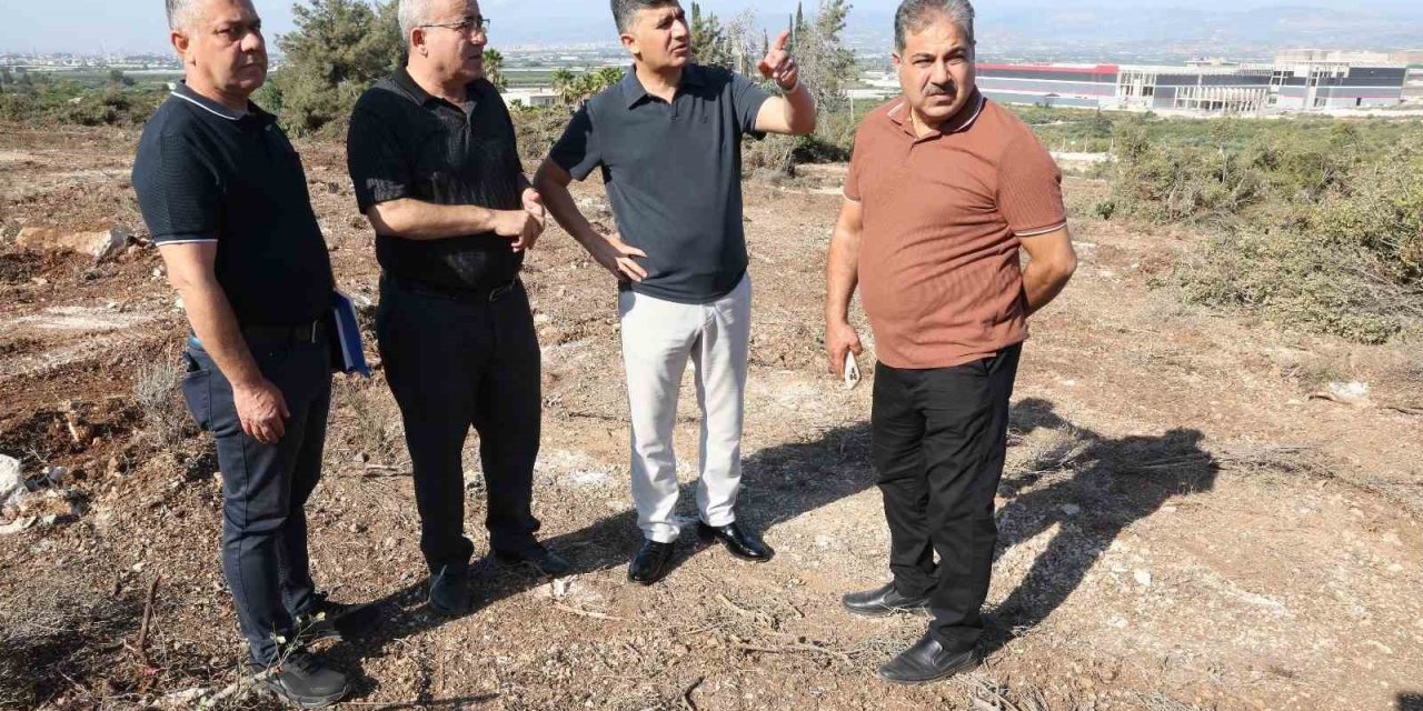 Akdeniz Belediyesinden Sokak Hayvanları İçin Doğal Yaşam Alanı