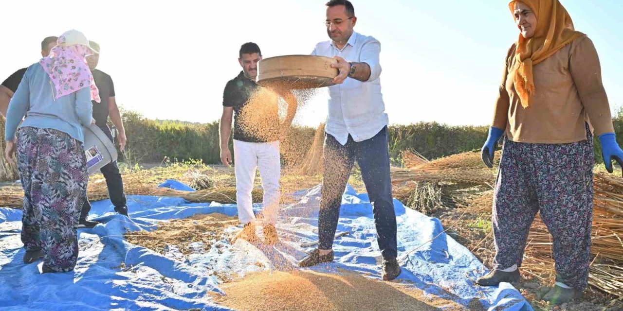 Başkan Güngör: "manavgat’ın Coğrafi İşaret Tescilli ’altın Susamı’, Türkiye’nin En Kaliteli Susamı Olarak Öne Çıkıyor"