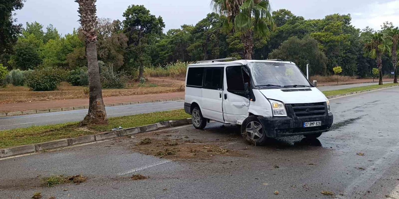 Kontrolden Çıkan Kamyonet Palmiye Ağacına Çarptı: Kaza Anı Kamerada
