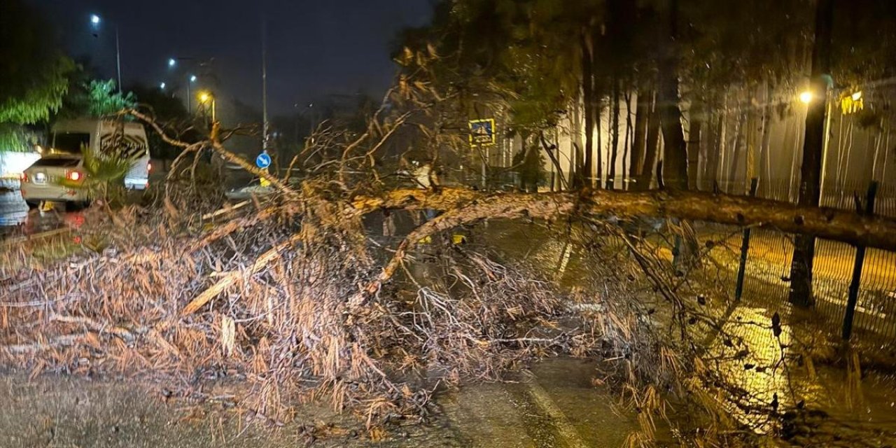 Alanya Belediyesi Olumsuz Hava Şartlarına Karşı Teyakkuzda