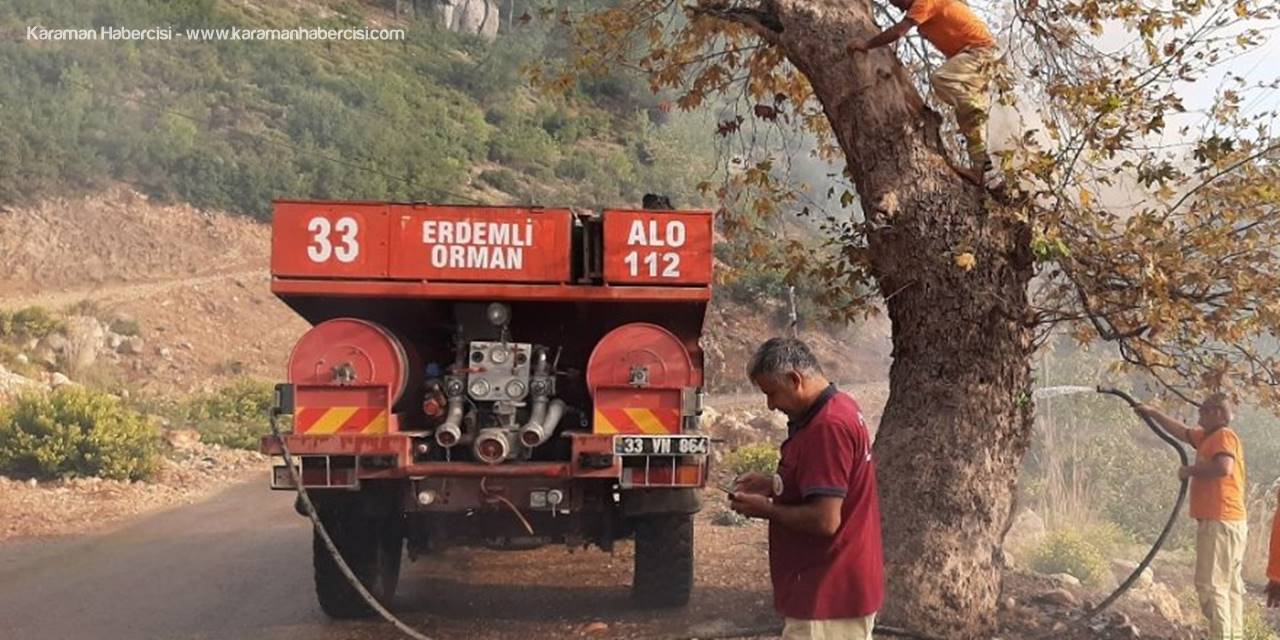 Piknikçilerin Kovuğuna Ateş Yaktığı Ağaca Orman Ekipleri Müdahale Etti