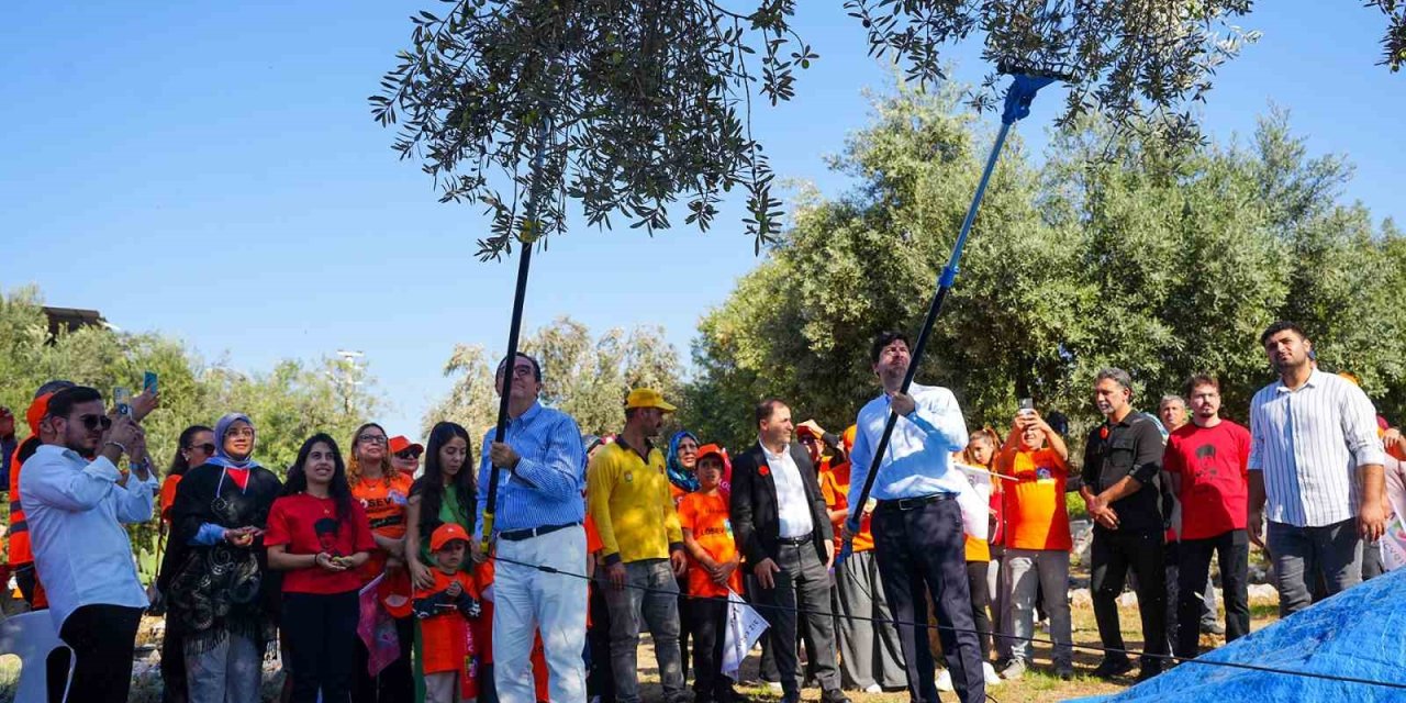 Başkan Boltaç: "bu Topraklarda Yetişen Her Zeytin Tanesi Aslında Bir İyiliğin Tohumu"