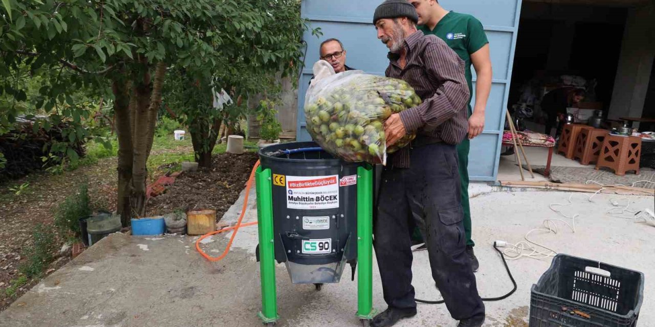 Büyükşehir’in Ceviz Soyma Makineleri Üreticilerin Hizmetinde