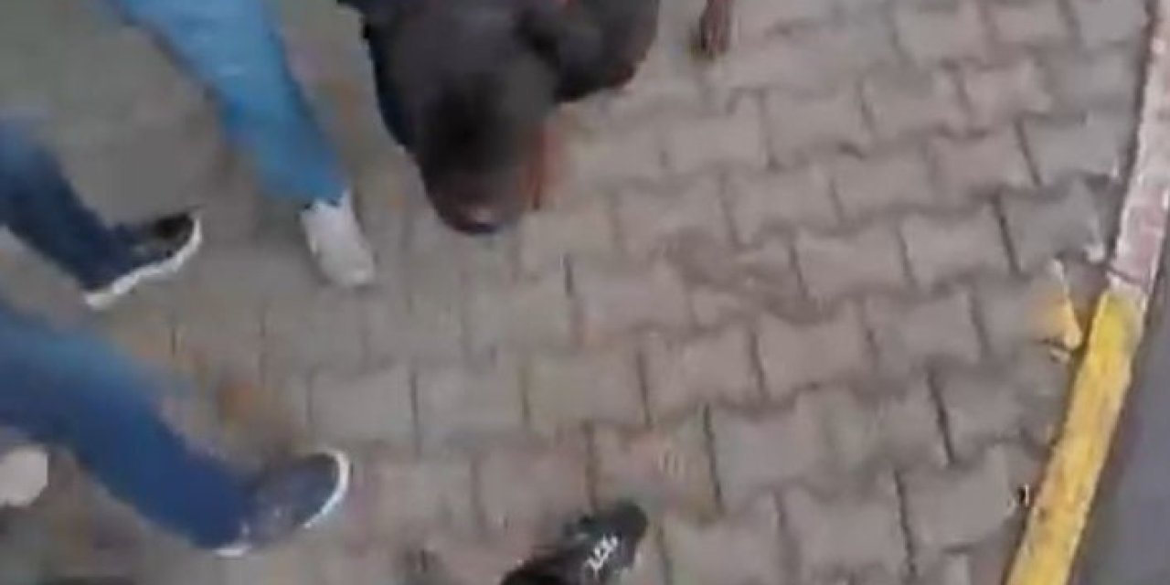 Saldırgan Köpek Gözetim Altına Alındı: Sahibine İdari Para Cezası Kesildi