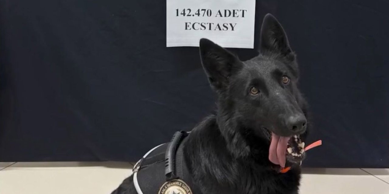 71 Milyon Liralık Uyuşturucu Hap Ele Geçirildi