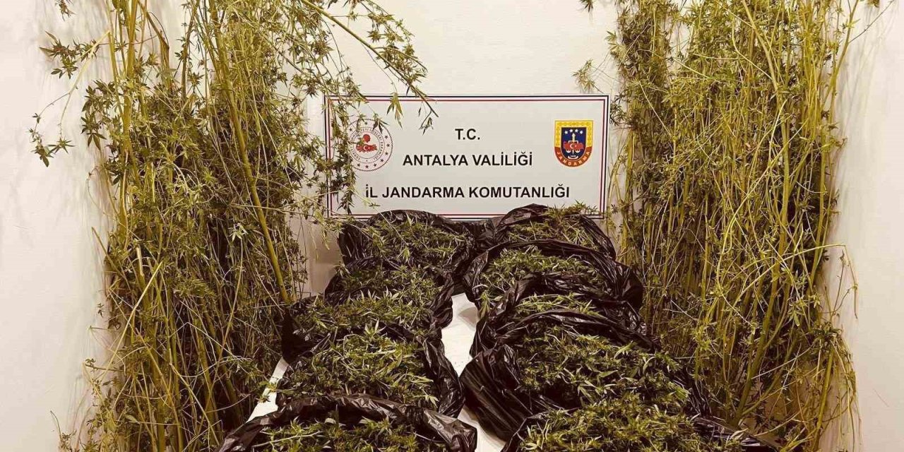 Antalya’da 53 Kilo Uyuşturucu Ele Geçirildi