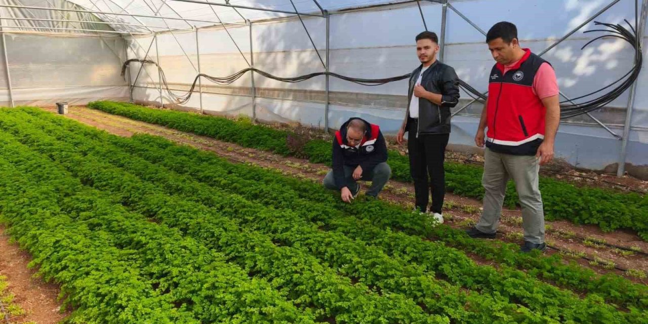 Beyşehir’de Örtü Altı Üretim Yaygınlaşıyor