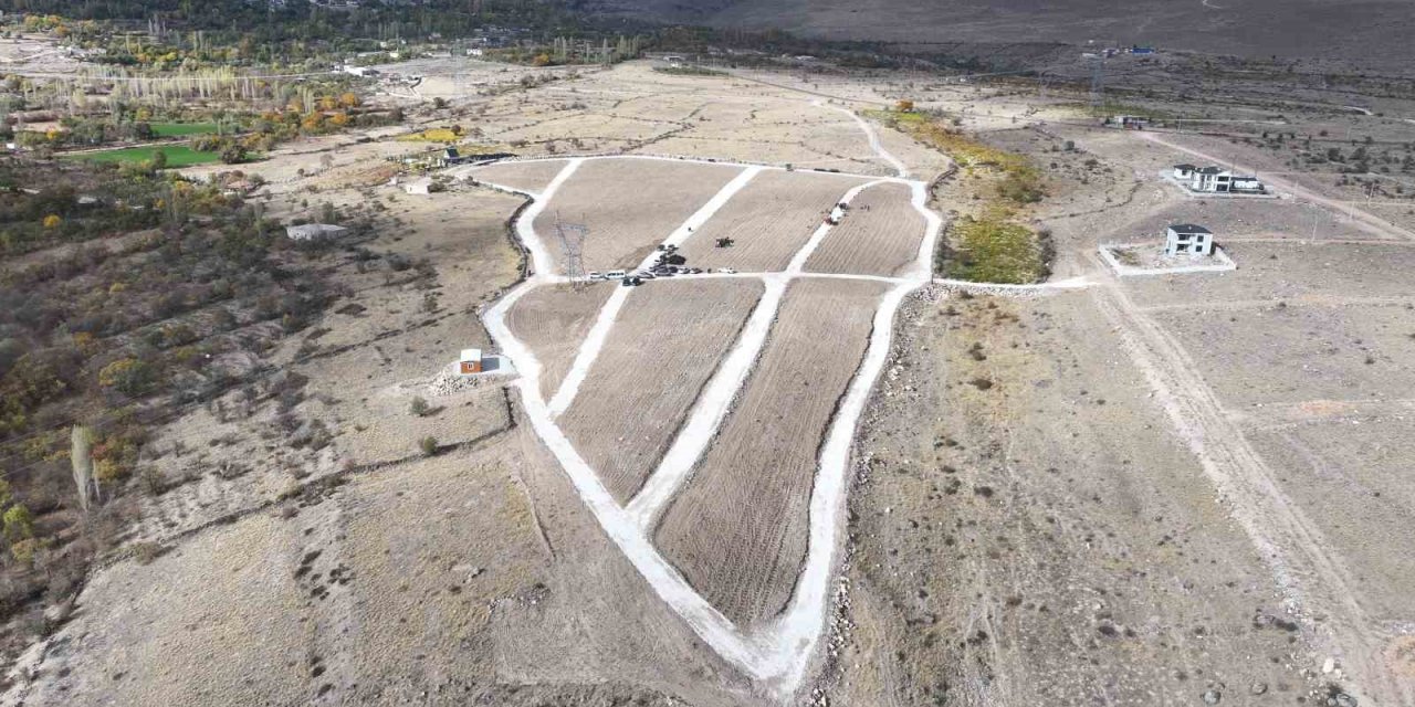 Niğde’de Tarıma Elverişli Olmayan Araziler Lavanta ile Değerlendiriliyor