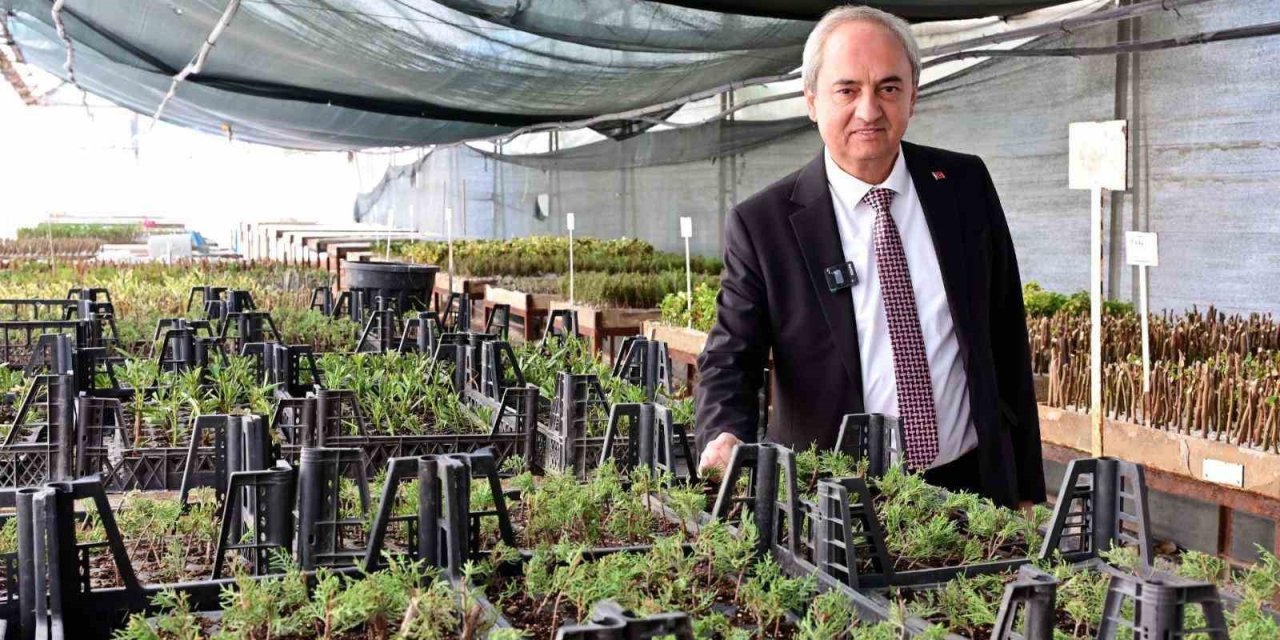 Kepez’den Kurakçıl Peyzaj Hamlesi