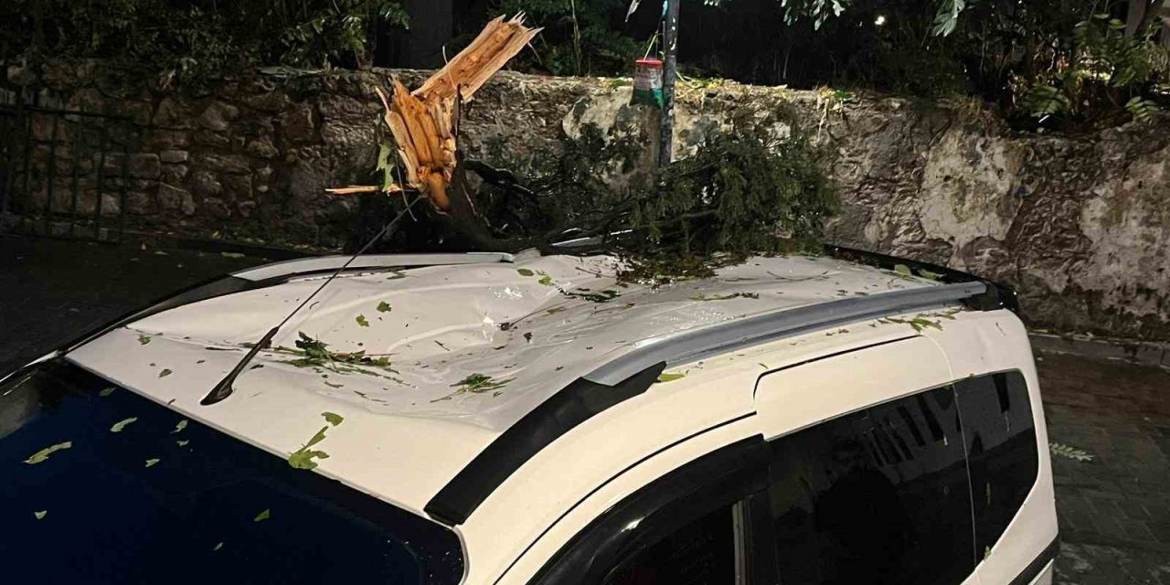 Fırtınanın Devirdiği Ağaç Park Halindeki Aracın Üzerine Düştü
