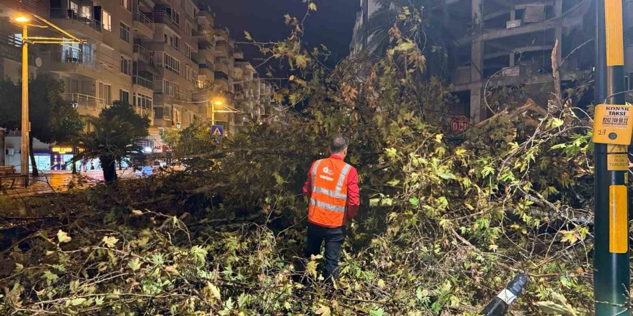 Belediye Ekipleri, Yağışın Oluşturduğu Olumsuzluklara 81 Araç Ve 323 Personelle Hızla Müdahale Etti