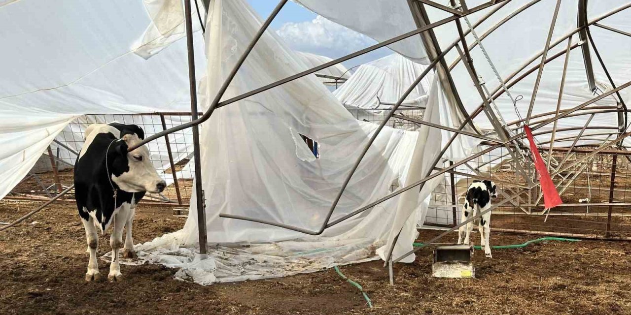 Serik’te Hasar Tespit Çalışmaları Sürüyor