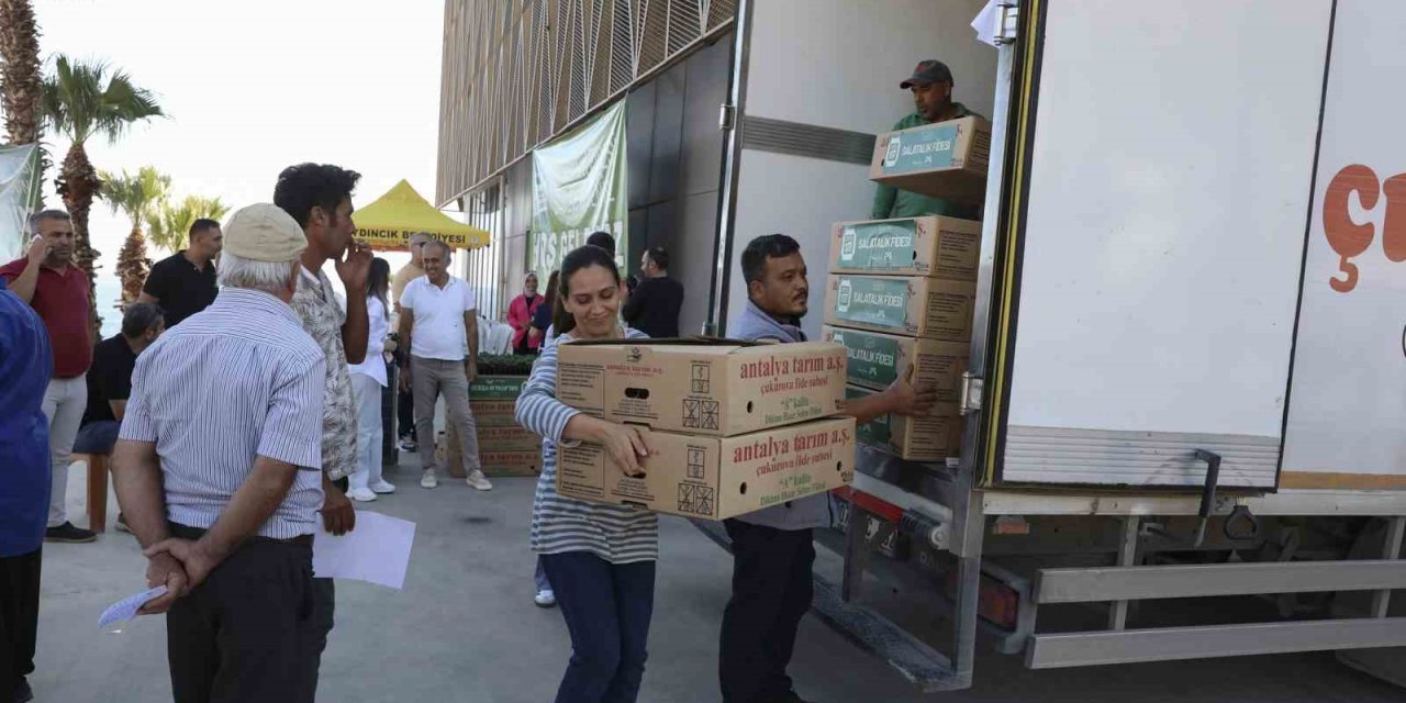 Mersin’de Üreticiye Fide Ve Güneş Paneli Desteği