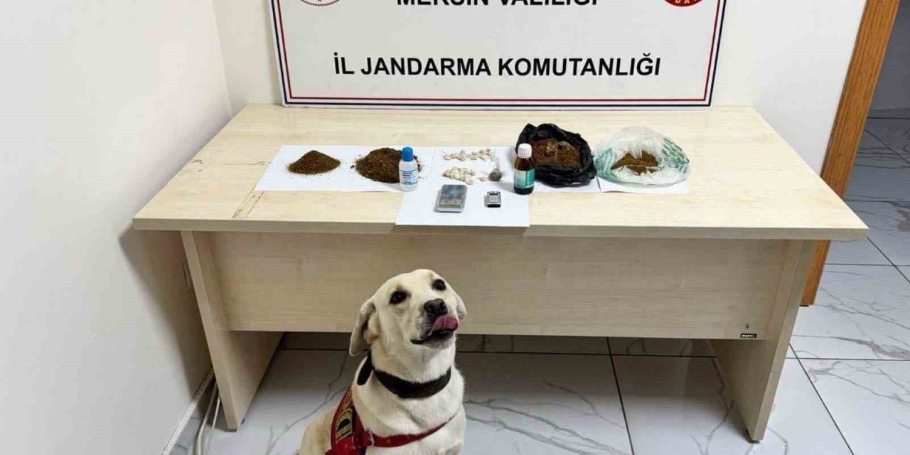 Mersin’de Uyuşturucu Operasyonu: 5 Şüpheli Tutuklandı