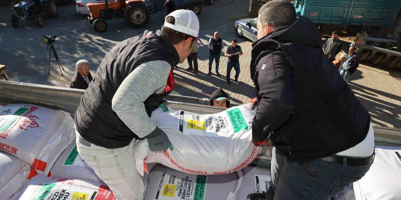 Konya Büyükşehir’den Çiftçiye Kuraklığa Dayanıklı Mercimek Tohumu Desteği
