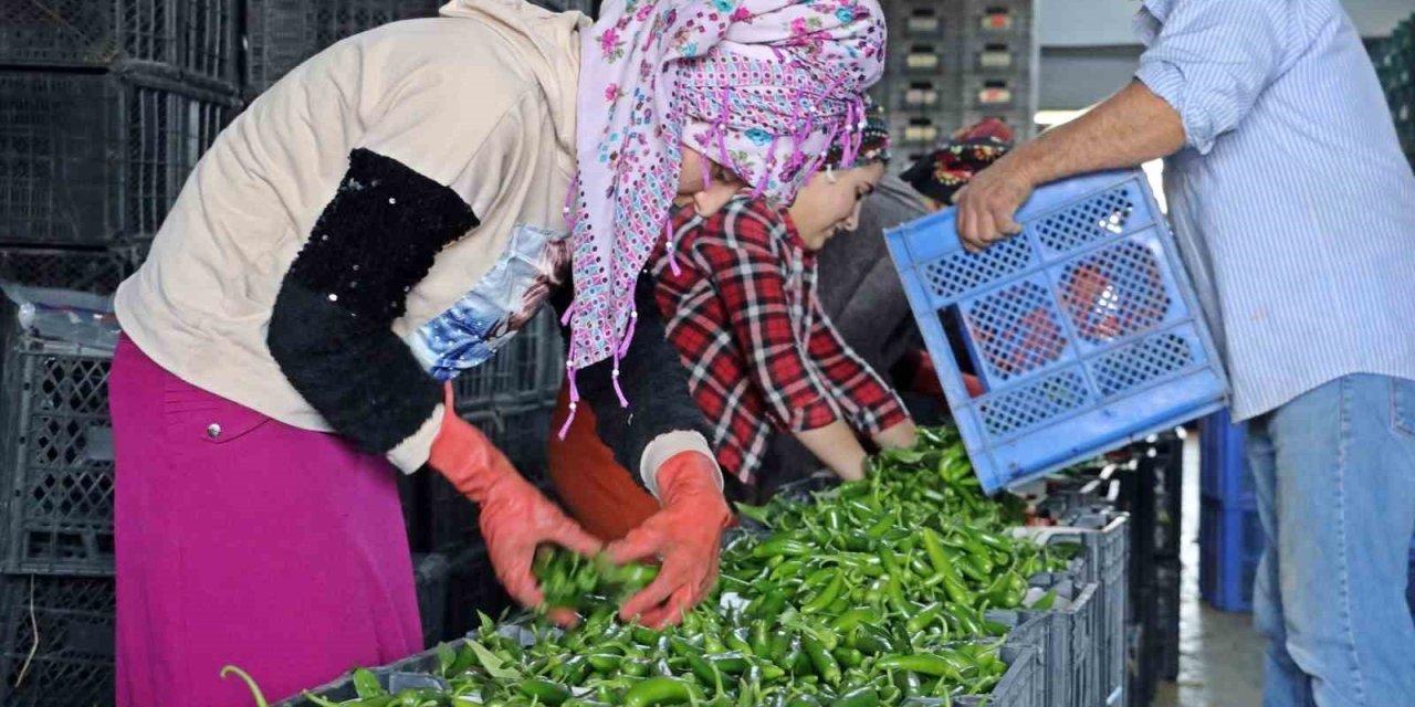 Antalya Ticaret Borsası Ekim Ayı Hal Endeksi Açıklandı