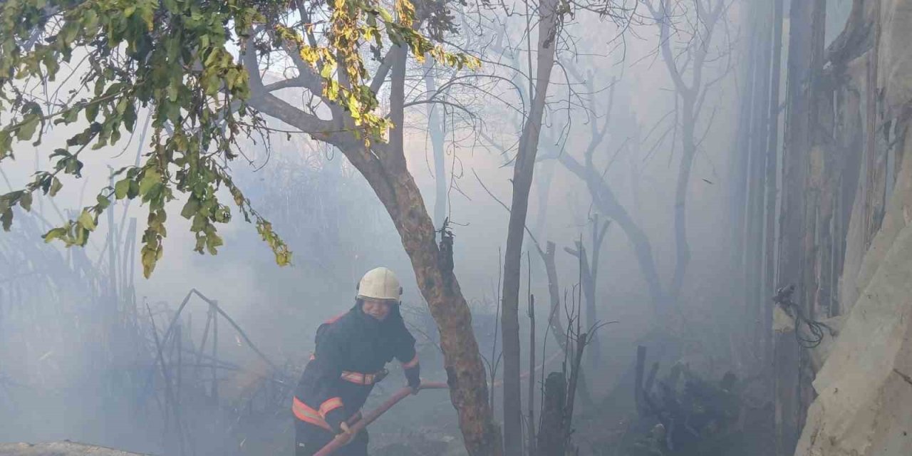 Bozyazı’da Çıkan Yangın Seralara Zarar Verdi