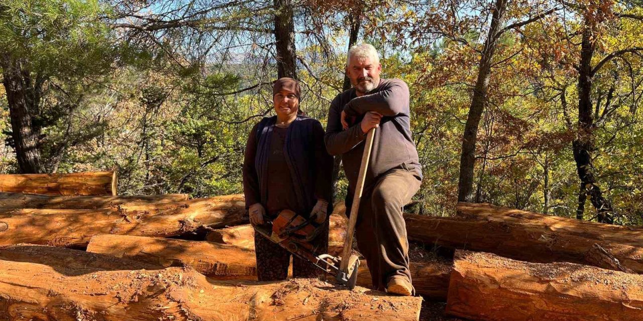 Karı-koca 35 Yıldır  Ormanlarda Damgalanan Ağaçları Kesiyorlar