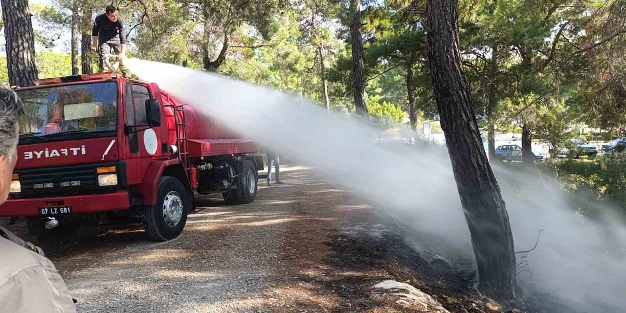 Ormanlık Alanda Çıkan Yangını Vatandaşlar Söndürdü