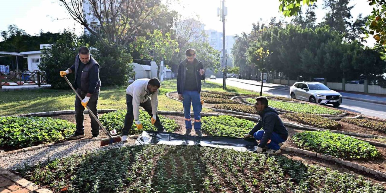 Muratpaşa’da Trafik Parkı Çiçek Bahçesine Dönüştü