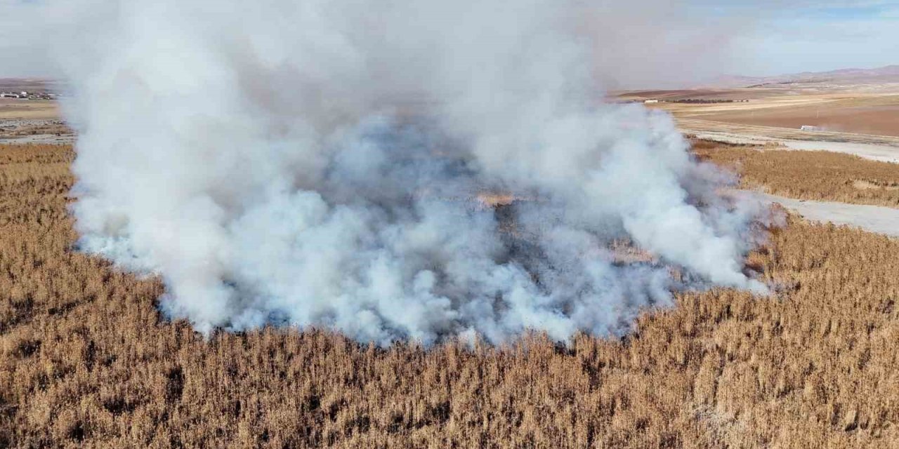 Konya’da Sazlık Alanda Yangını