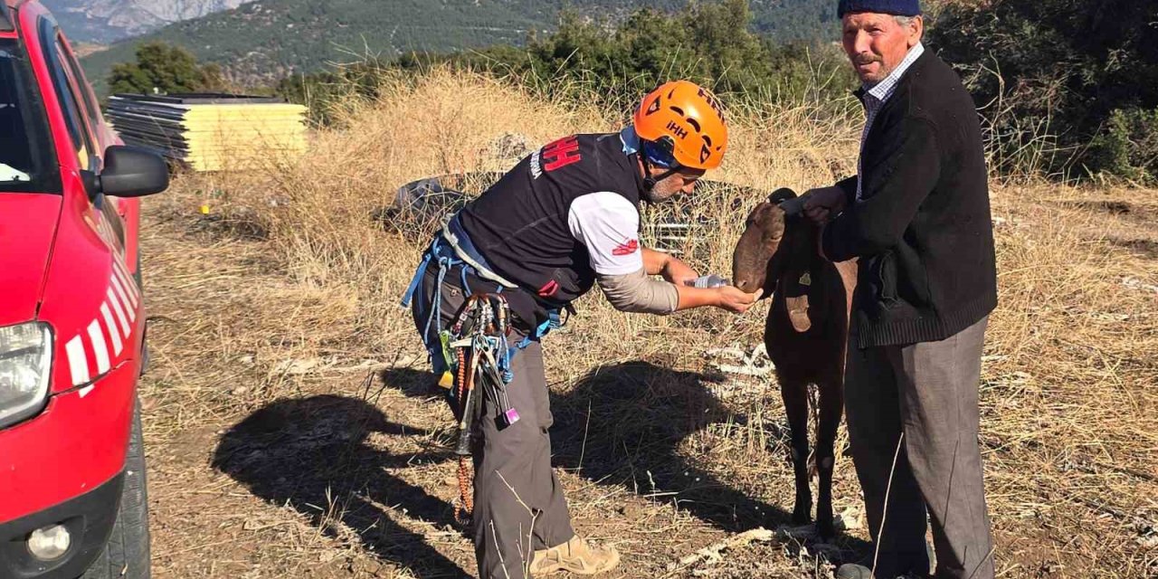 Kaya Oyuğuna Düşen Ve 3 Gün Mahsur Kalan Keçi, Film Gibi Operasyonla Kurtarıldı