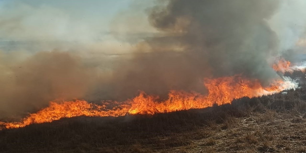 Beyşehir’de Çıkan Sazlık Yangınları