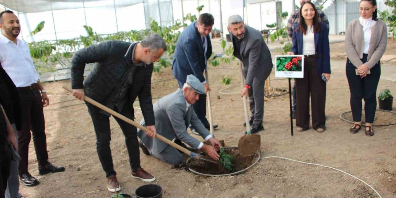 Kahve Sadece Adıyla Değil Üretimiyle De Türk Olacak
