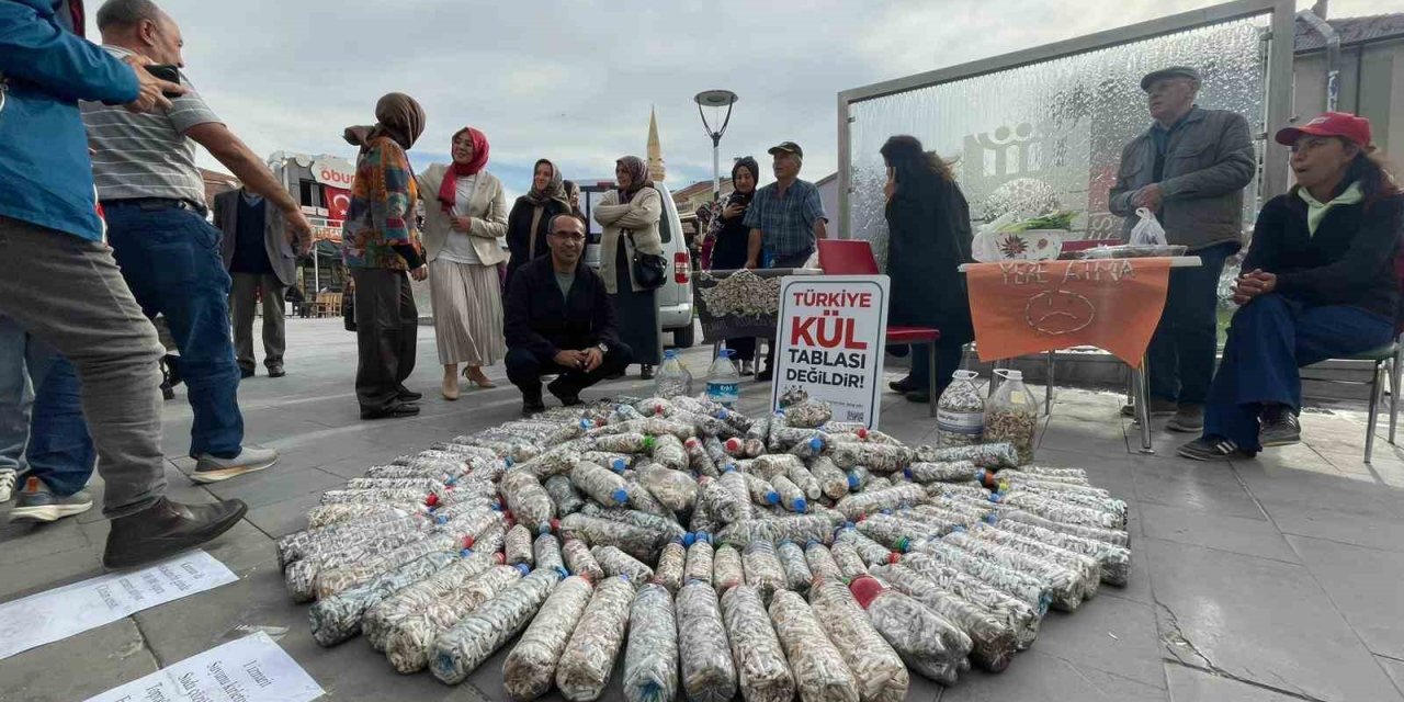 Akademisyen Ve Gönüllüler 2 Ayda 100 Bin Sigara İzmariti Topladı