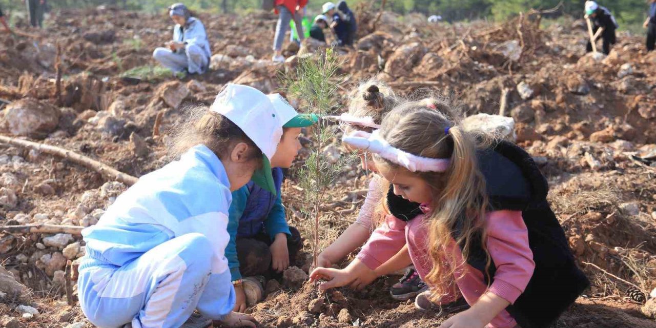 Kepezli Minikler, Yangın Sonrası Orman Alanına Umut Dikti