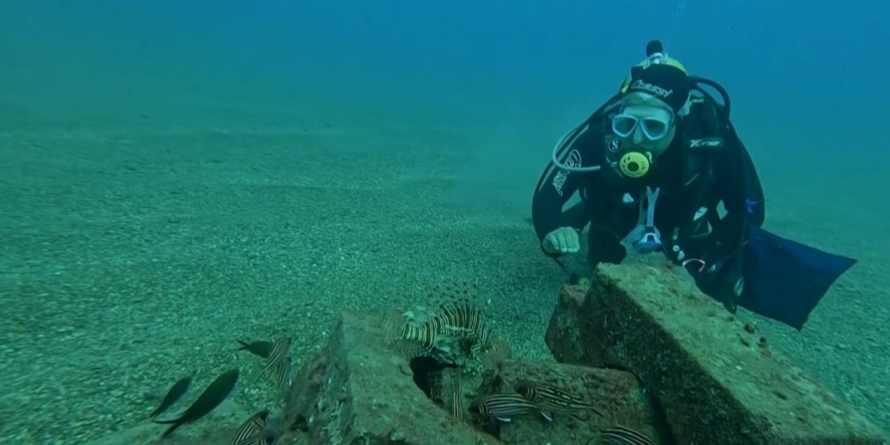 Profesör Deniz Dibinde Taşlardan Balıklara Yuva Yaptı: 12 Tür Barış İçinde Yaşıyor