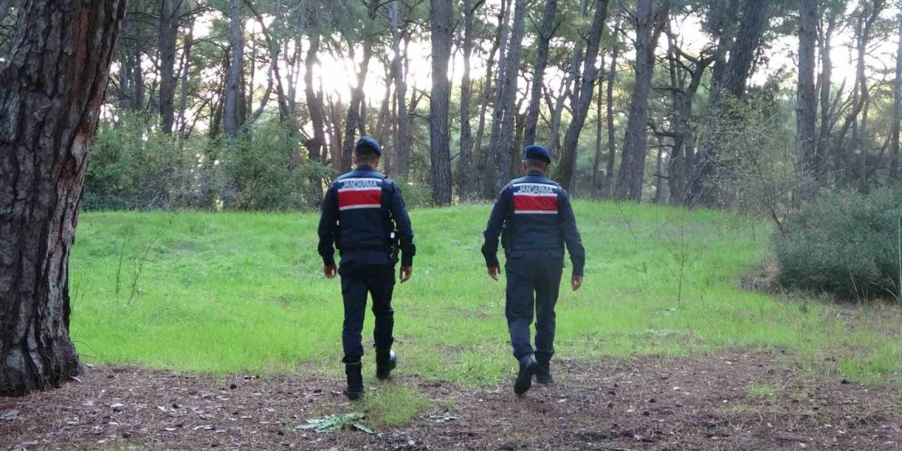 Jandarmadan Ormanlık Alanlarda Kangal Ve Ateş Nöbeti