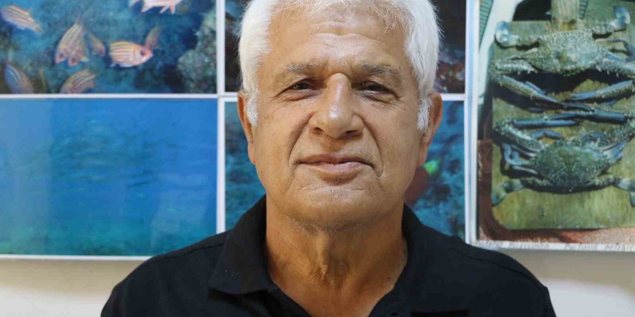 Amatör Kıyı Balıkçısının Oltasına Köpek Balığı Takıldı