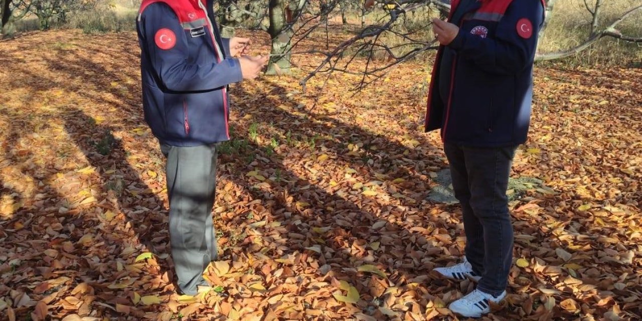 Akşehir Kirazında Saha İncelemeleri Devam Ediyor