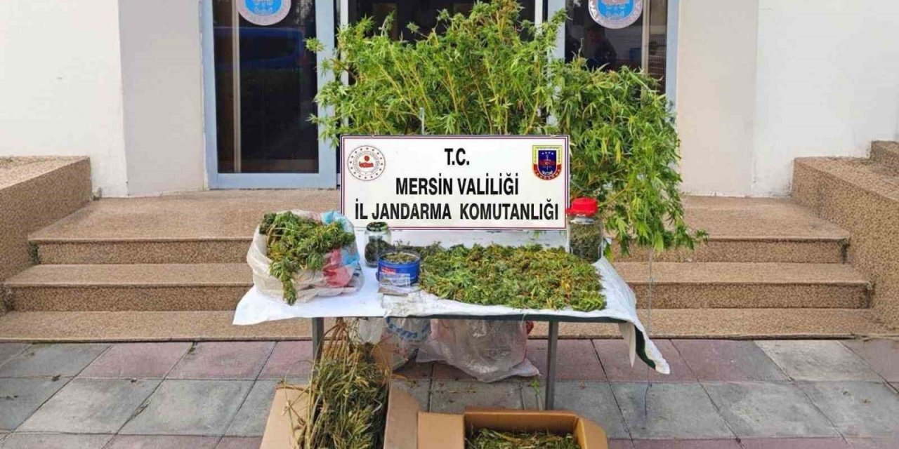Mersin’de Kenevir Ekip Uyuşturucu Üreten Şüpheli Tutuklandı