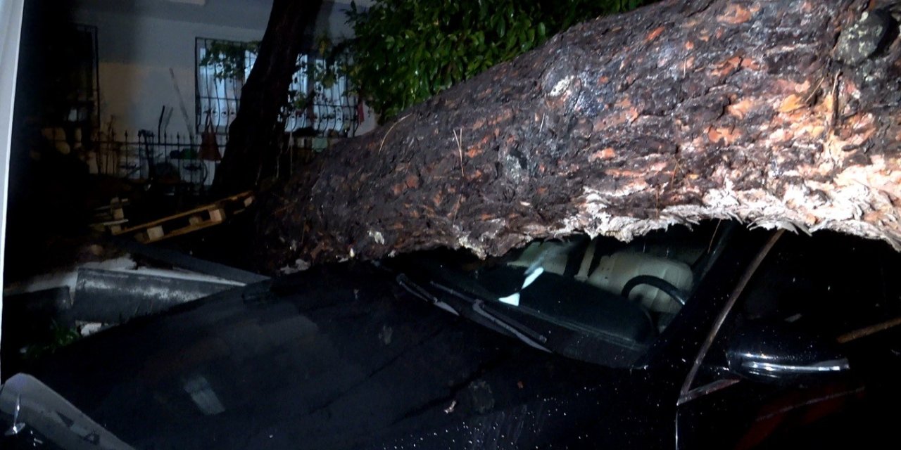 Antalya’da Yağmur Ve Şiddetli Rüzgar 10 Metrelik Ağaç Devrildi: İki Araç Ve Bina Zarar Gördü