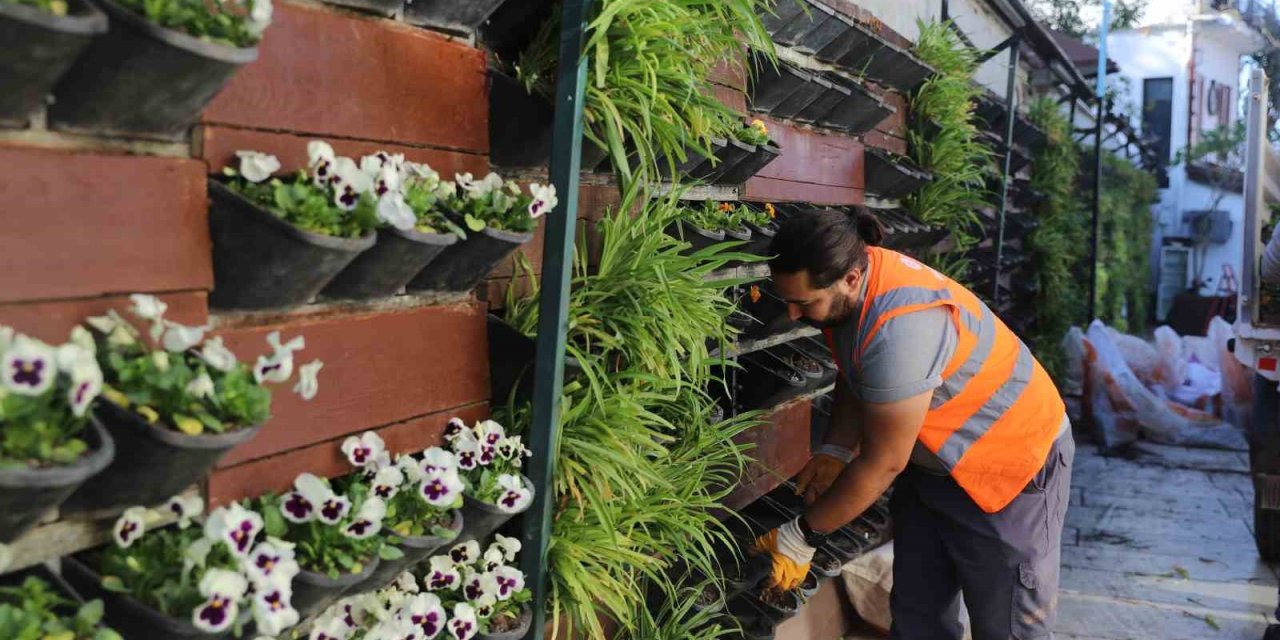 Antalya’da 4 Milyon Çiçek Toprakla Buluşuyor