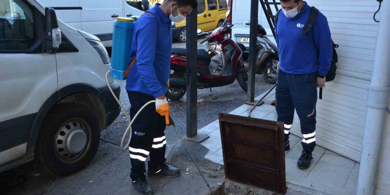 Vektörel Mücadele Çalışmaları Devam Ediyor