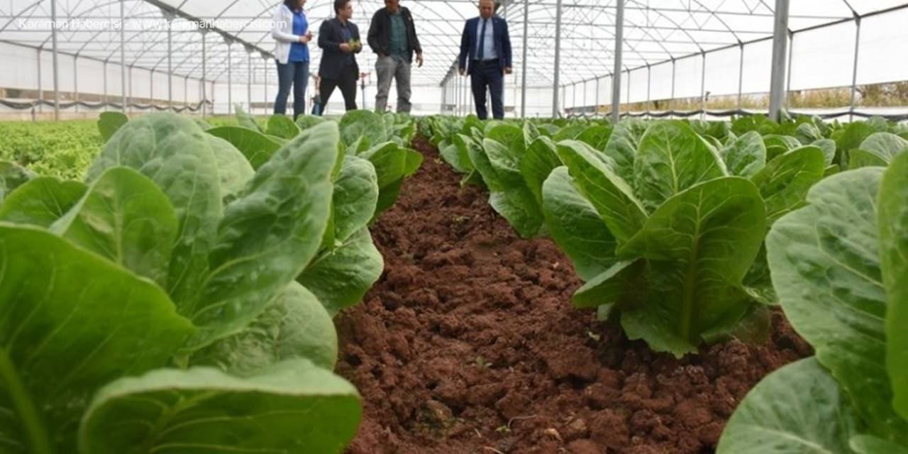 Aksaray’da Sera Projeleri Üreticinin Yüzünü Güldürüyor