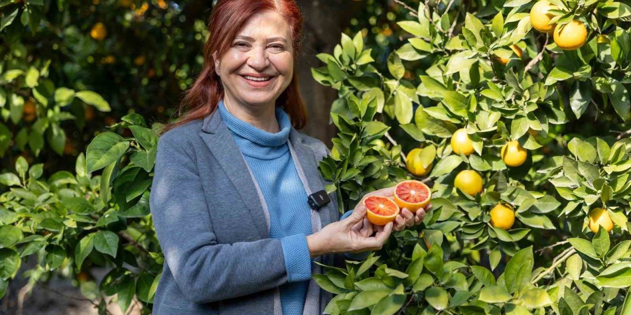Mersin Kan Portakalında Hedef Ab Tescili