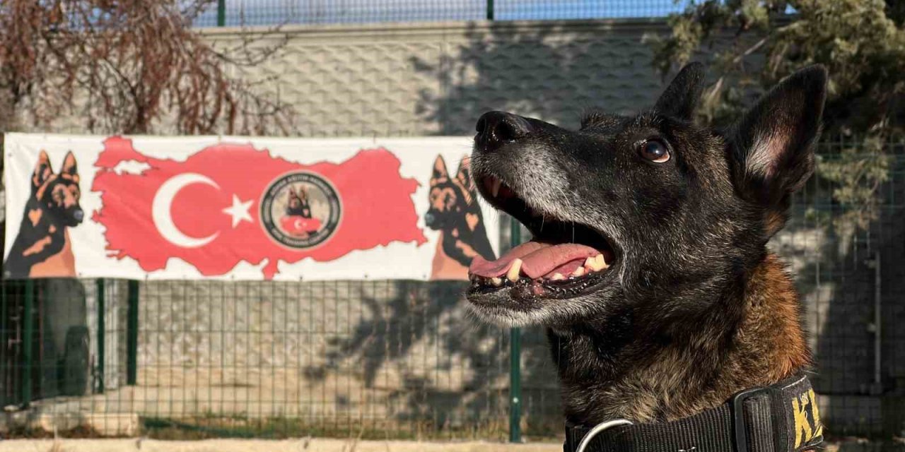 Giz, Felix, Atena ve Odin: Konya’da Uyuşturucunun Korkulu Rüyası