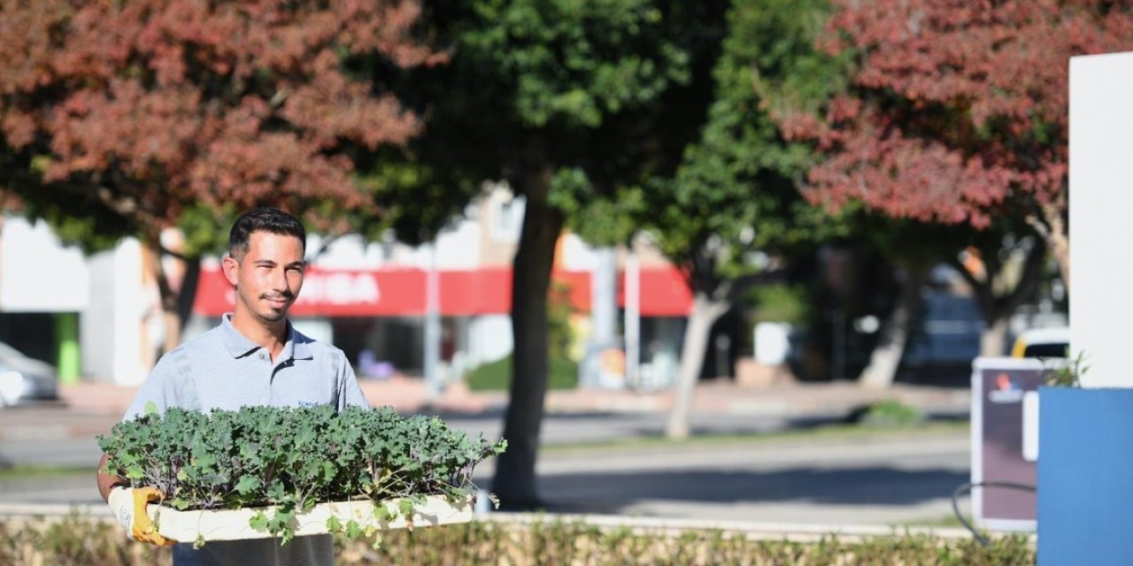 Konyaaltı’nda Mevsimlik Çiçek Ekimi