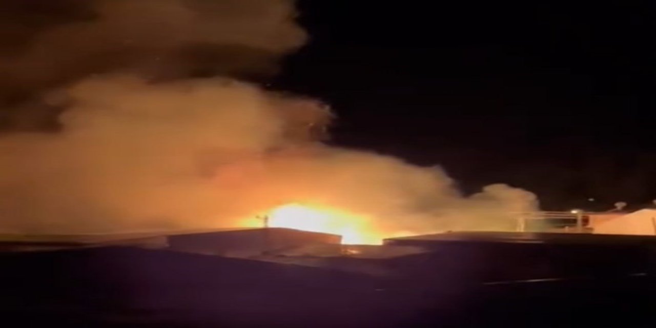 Mersin’de Sazlık Alandaki Yangın Söndürüldü: Bir Sera Zarar Gördü