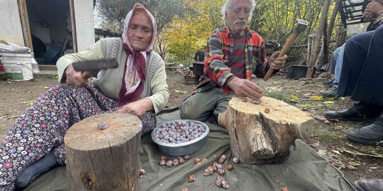 Topladıkları Kozalakları Kızgın Ateşte Saatlerce Kaynatarak Şifa Deposuna Dönüştürüyorlar