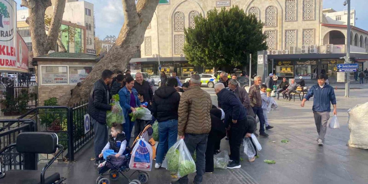 Antalyalı Çiftçi Ürünlerin Çöpe Dökülmesine Tepki Olarak 200 Marulu Ücretsiz Dağıttı