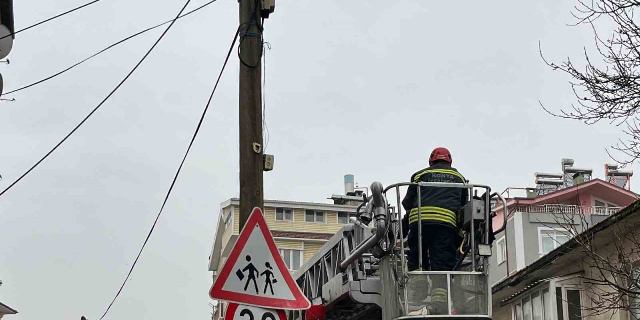 Beyşehir’de İtfaiye Merdiveni Bu Kez Direğin Tepesindeki Kedi İçin Uzatıldı