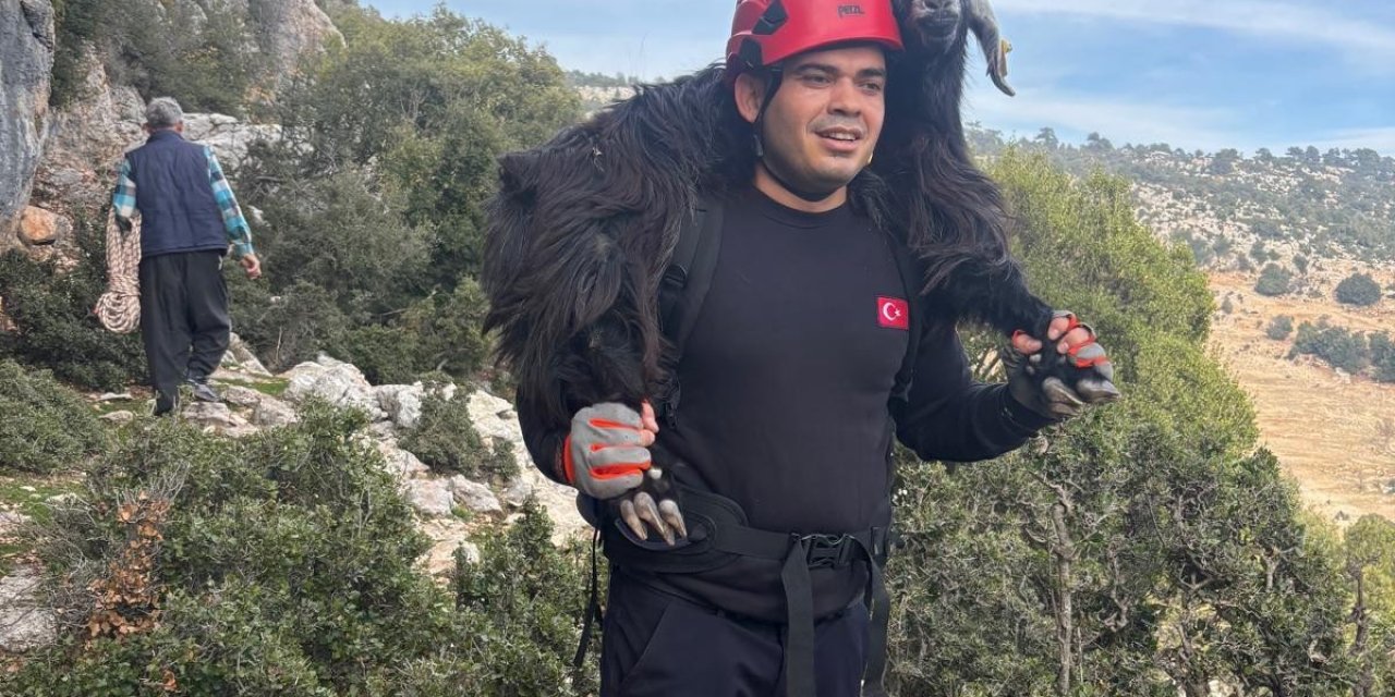 Mersin’de Kayalıklarda Mahsur Kalan 2 Keçi İtfaiye Ekiplerince Kurtarıldı