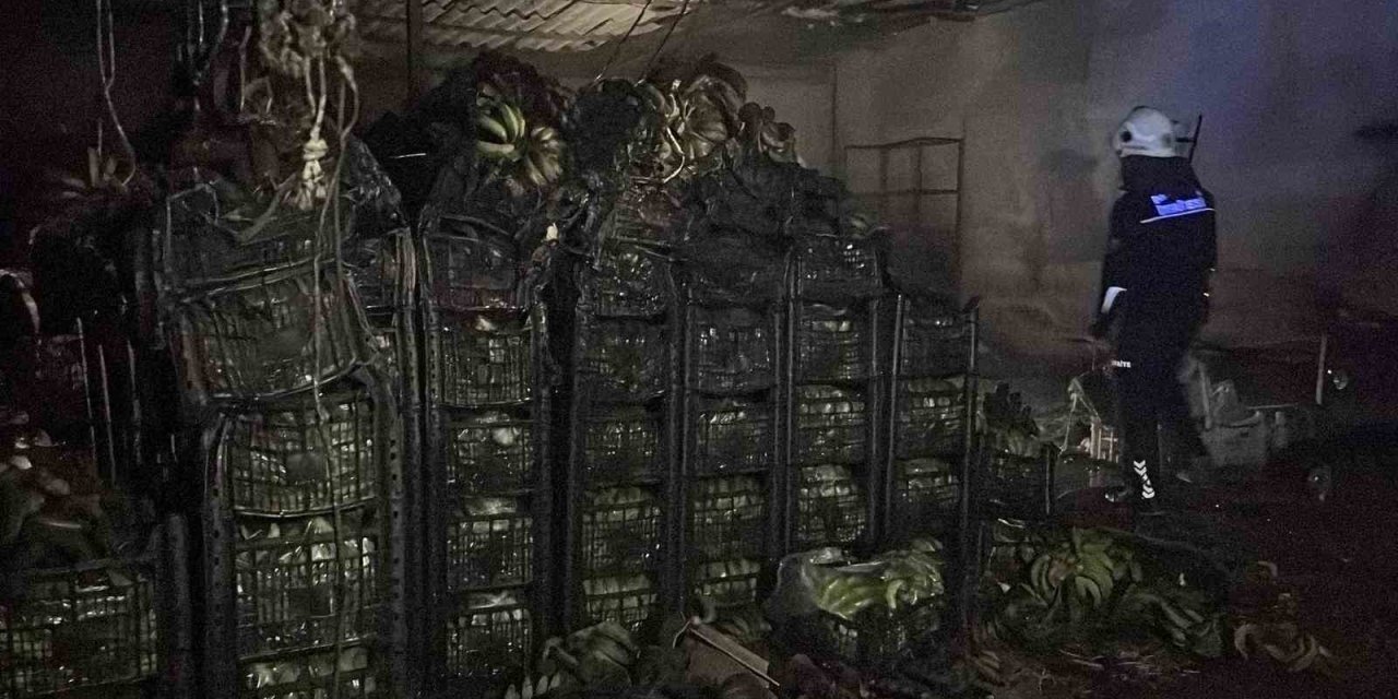 Alanya’da Muz Sarartma Tesisinde Yangın: Tonlarca Muz Zarar Gördü